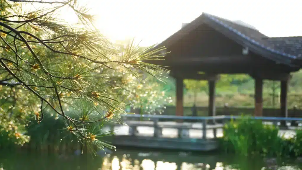 Kariya Park, Mississauga